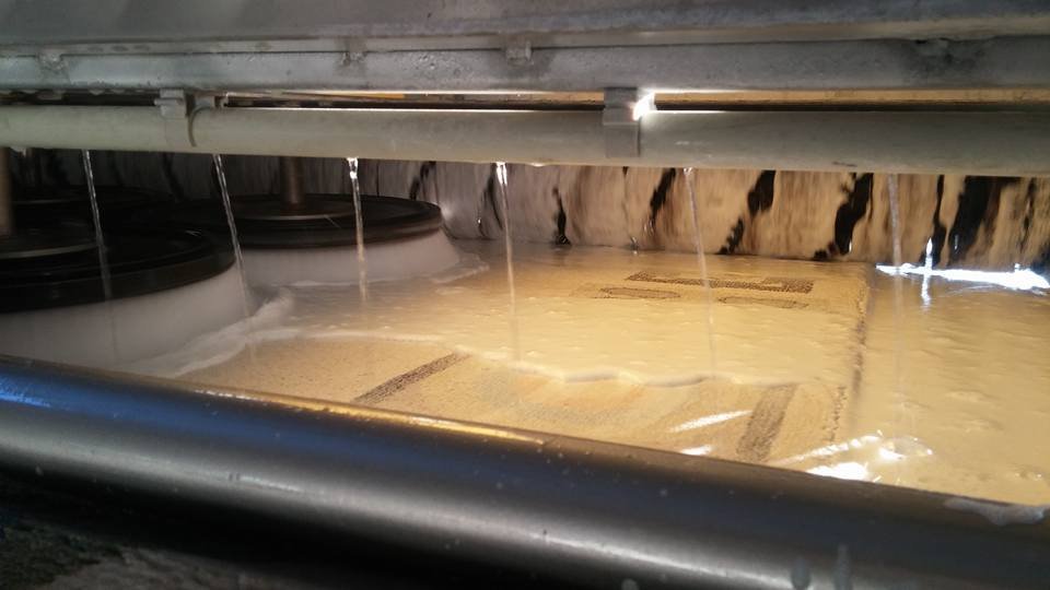 Halı bakımı ve temizliği nasıl yapılmalı